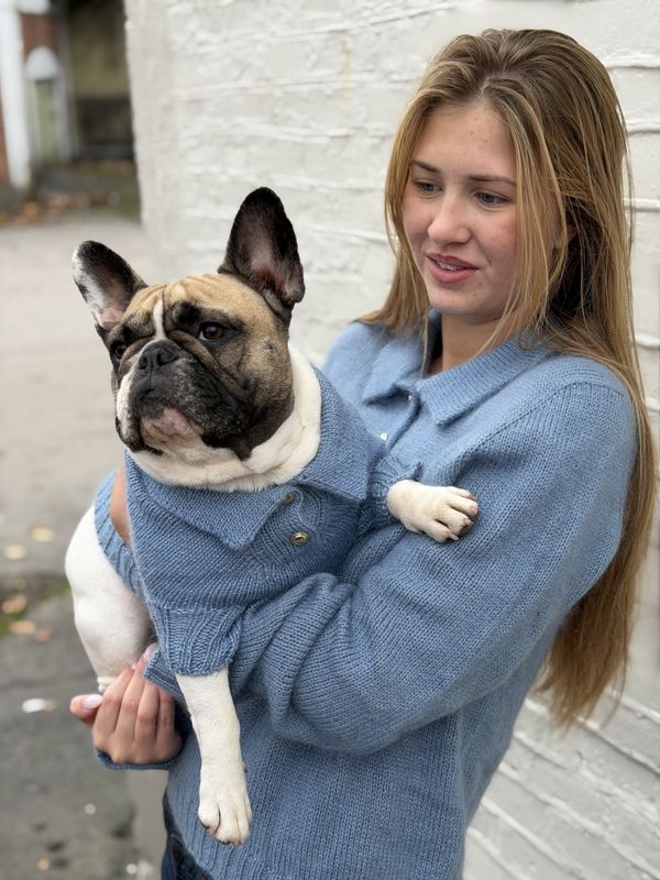Polo Sweater - English