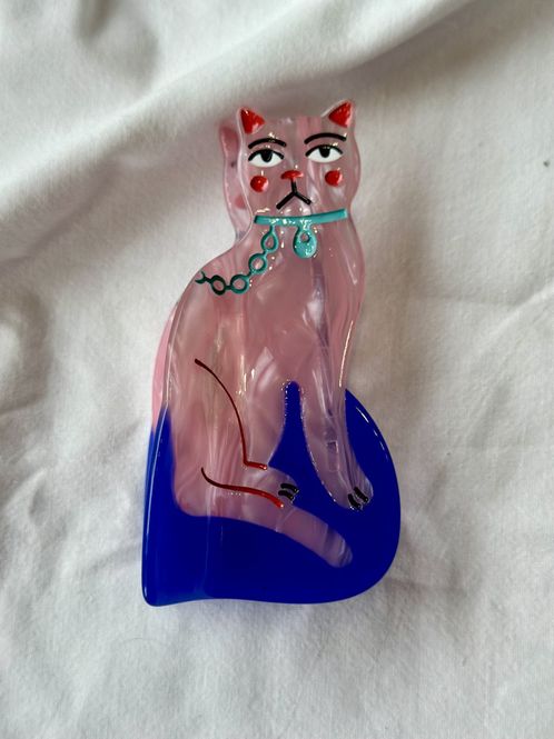 Hovedbilde Kul kitch katt