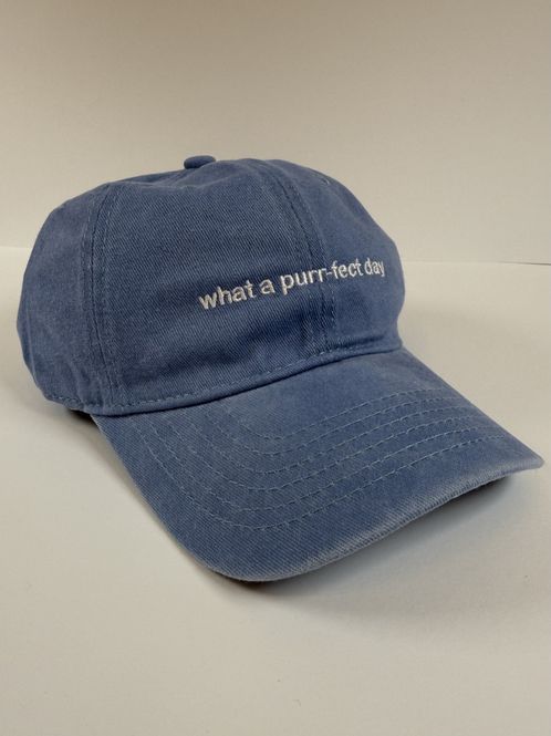 Hovedbilde Caps - what a purr-fect day- Blå