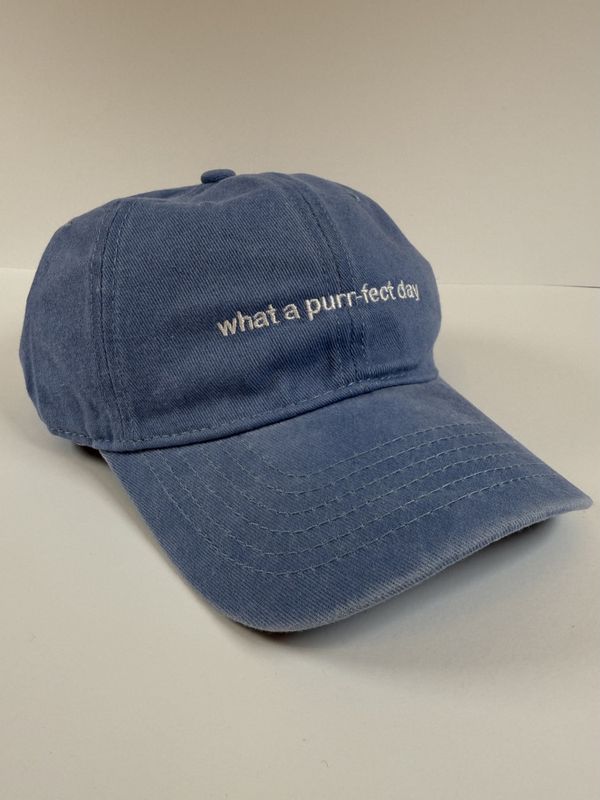 Caps - what a purr-fect day- Blå